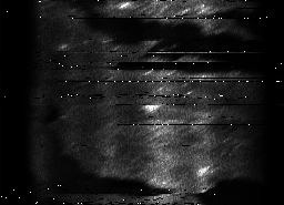 ascat_grayscale_ch5.png